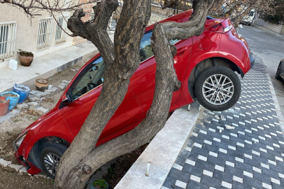 Otomobilini park etmek isterken bahçeye düştü