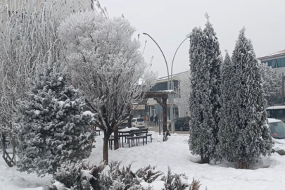 Van'ın Özalp ilçesinde dondurucu soğuklar etkili