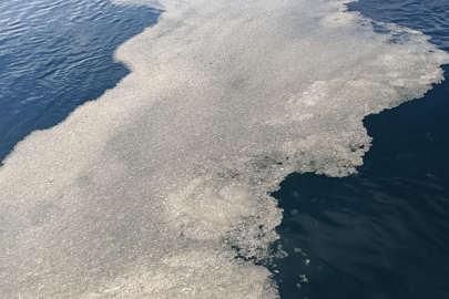 Çanakkale Boğazı'nda müsilaj sorunu devam ediyor