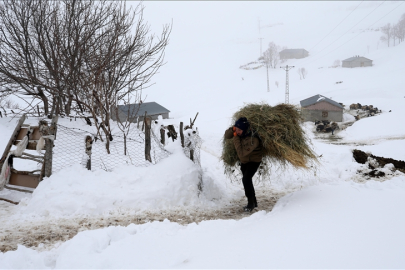 Muş ve Bitlis'te besicilerin zorlu kış mesaisi devam ediyor