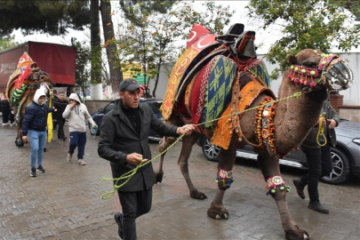 Aydın'da "En Yakışıklı Deve Yarışması" düzenlendi