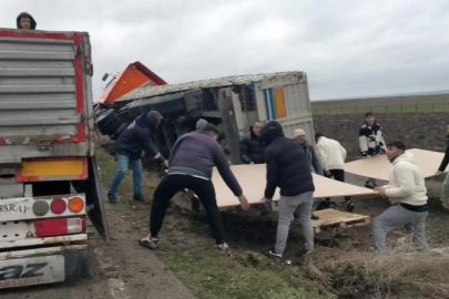 Kontrolden çıkan kamyon tarlaya devrildi