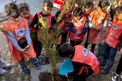 Şanlıurfa'da minik eller geleceğe fidan dikti