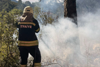 Muğla'da kokutan orman yangını