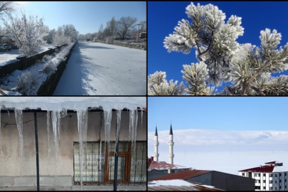 Doğu Anadolu'da dondurucu soğuklar etkisi altında