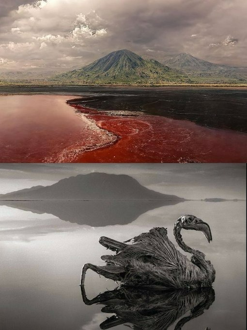 Lake Natron, Tanzanya