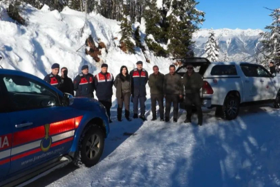 Artvin’de soğuk kış şartlarında yaban hayvanları unutulmadı