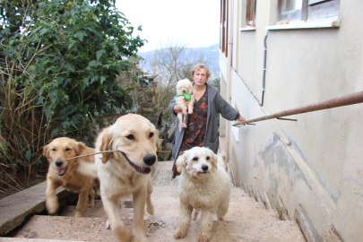 Kendisini yangından kurtaran köpeği sahiplendi ona hayat verdi!