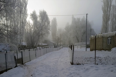 Erzurum, Kars, Ardahan ve Ağrı'da kar ile soğuk hava etkili