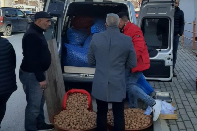 Ceviz sahtekarlığına zabıta engeli! Bursa'dan gitmiş...