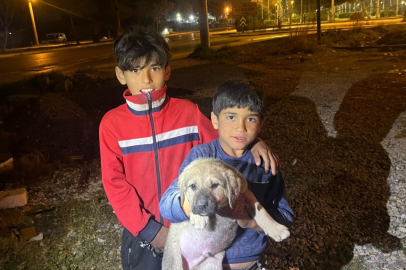 Mersin'de kuyuya düşen yavru köpek, itfaiye ekiplerince kurtarıldı